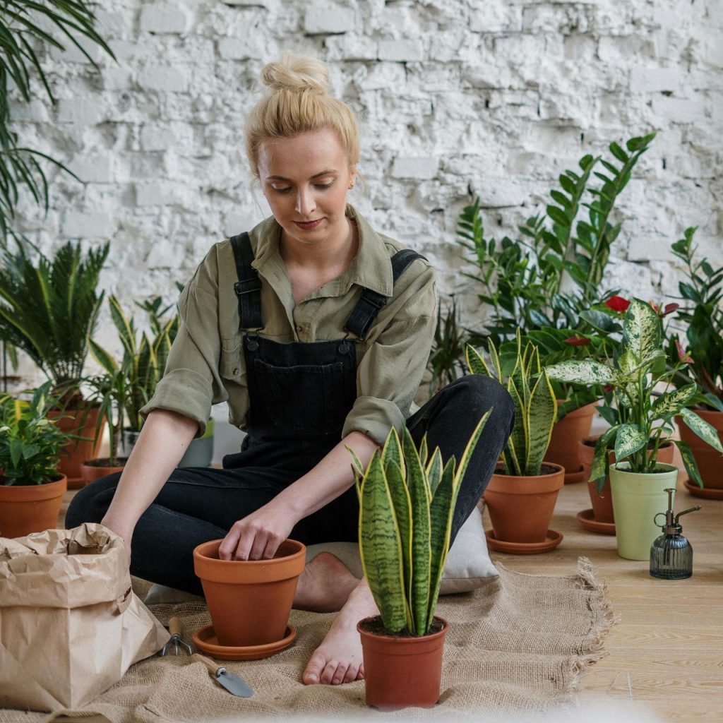 Woman gardening indoors with potted plants, practicing holistic and therapeutic activities at California Detox & Recovery Center.