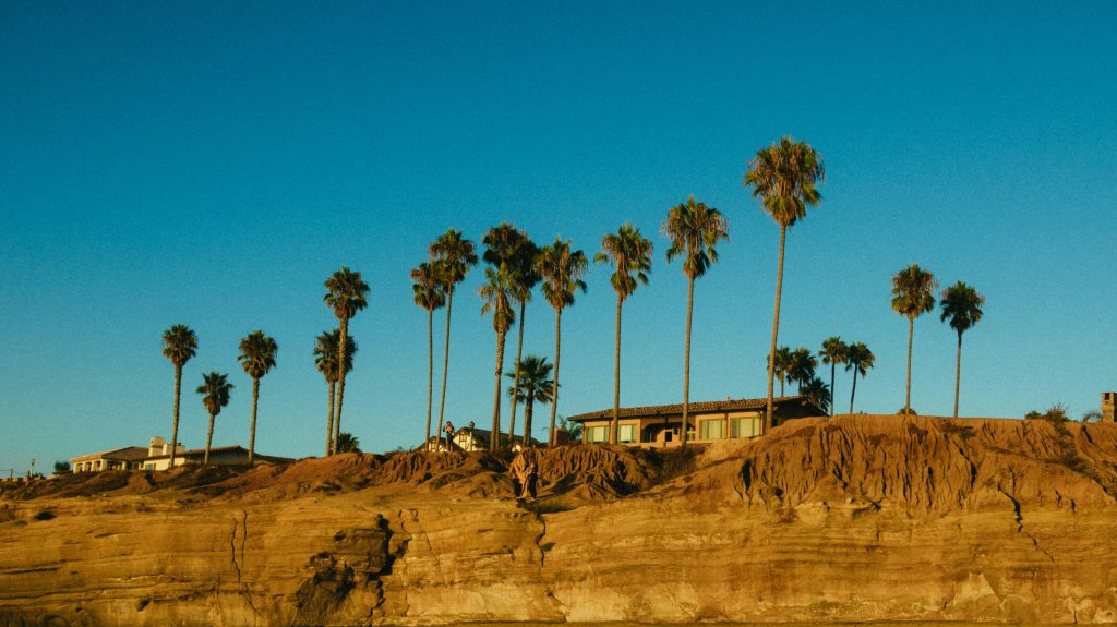 Palm trees and coastal cliffs in Southern California, symbolizing peaceful residential treatment at California Detox & Recovery Center in Los Angeles, California.