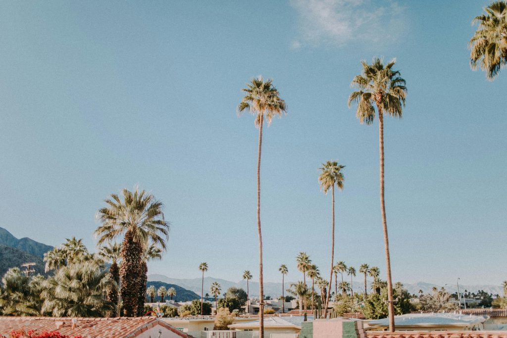 Palm trees under clear blue skies in Los Angeles, California, symbolizing a peaceful environment for medical detox at California Detox & Recovery Center