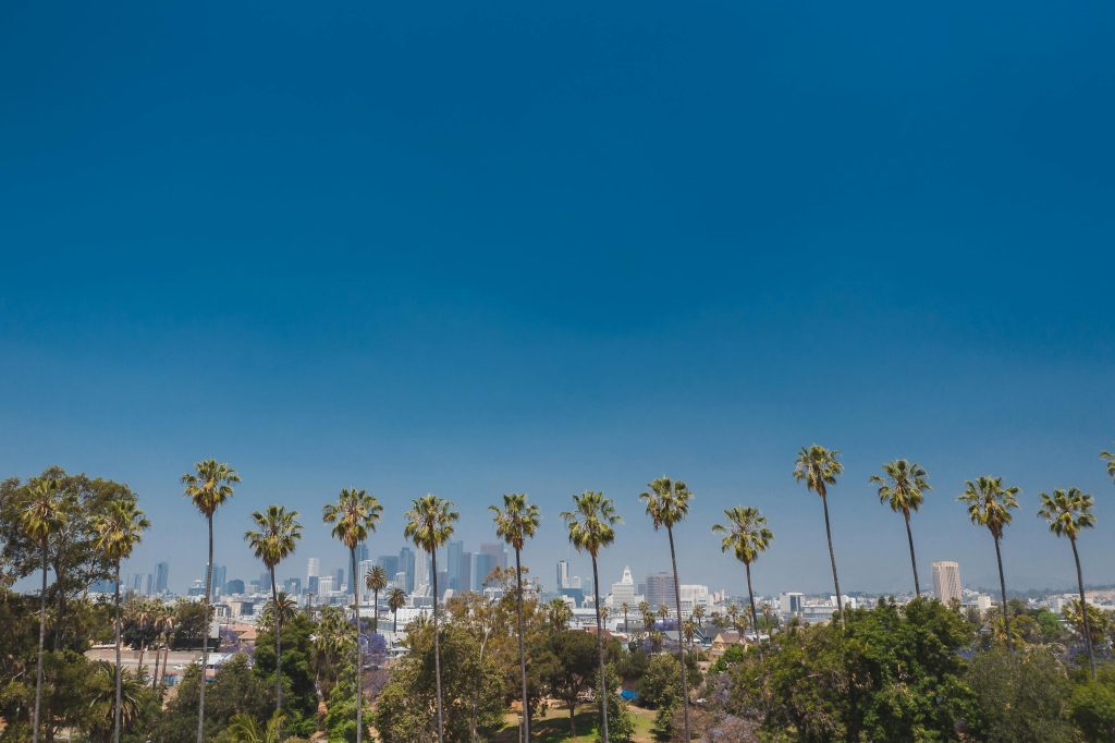Los Angeles skyline with palm trees under a clear blue sky, representing safe and professional medical detox services at California Detox & Recovery Center.