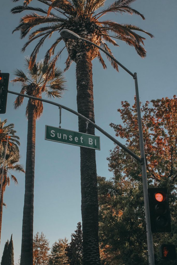 Palm trees and Sunset Boulevard street sign in California, representing recovery and treatment at California Detox & Recovery Center in Los Angeles, CA.