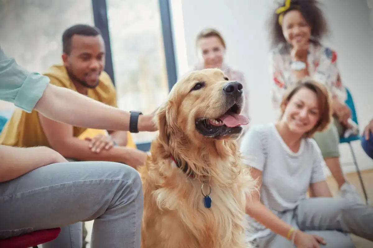People petting dog in group therapy session.