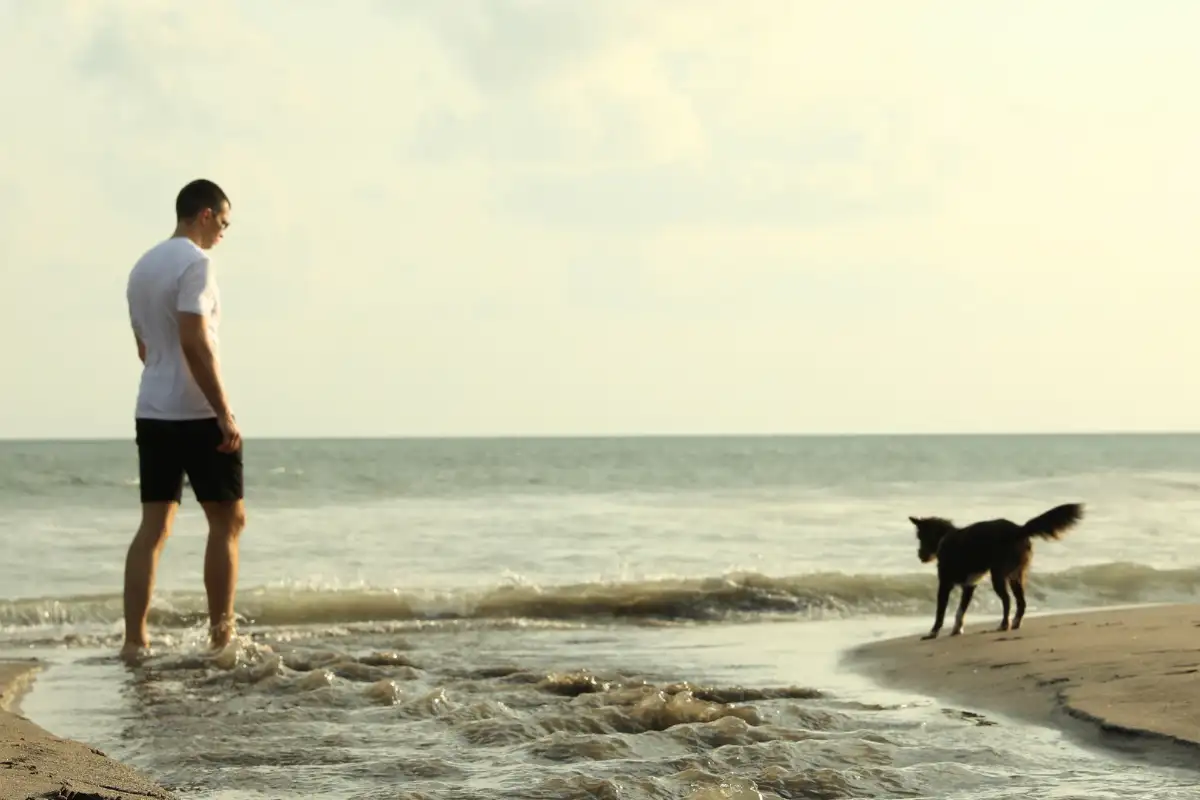 Pet friendly Rehab in California (1)